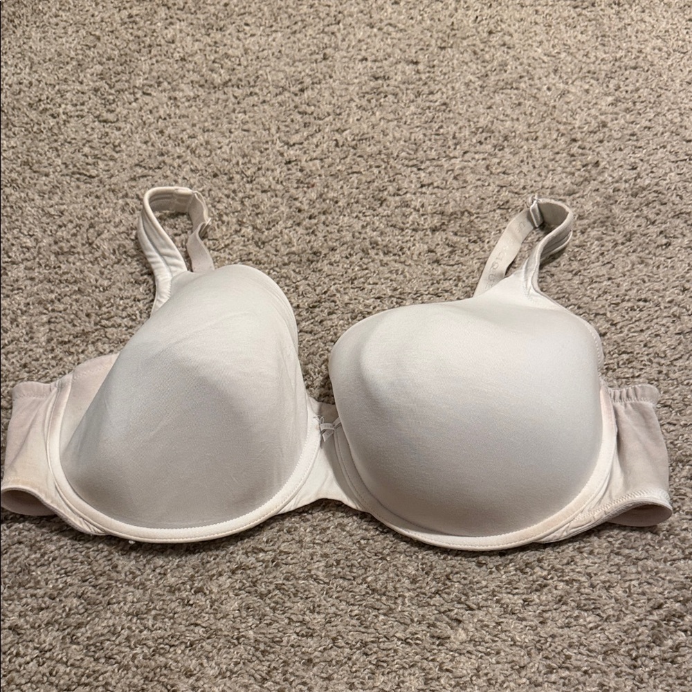 Cacique Smooth Molded Bra in Ivory White
